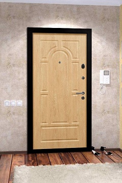 Входная дверь Лион-251